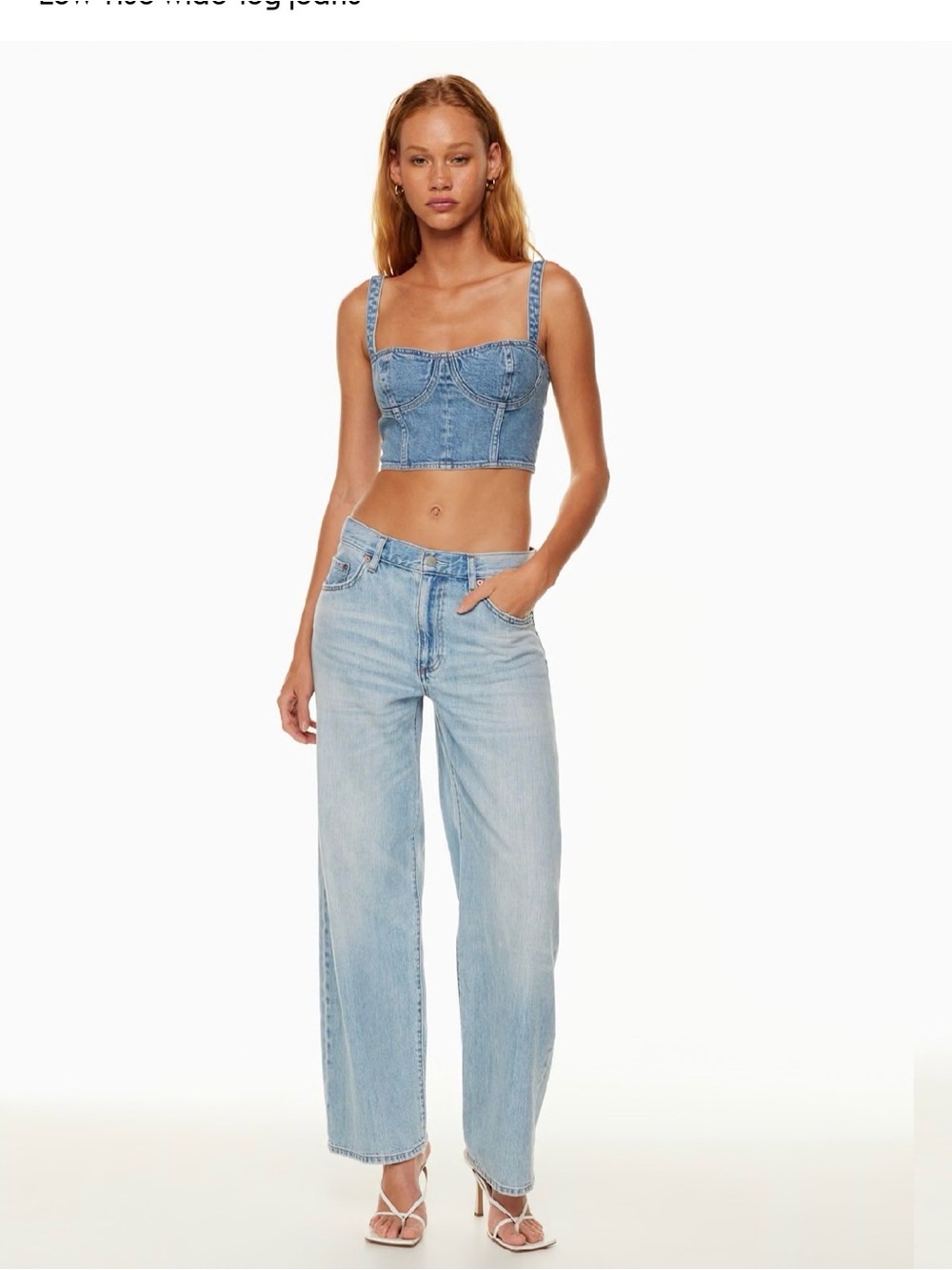 Aritzia Denim Forum- The Winona's 90s Low Rise Baggy Jean- Size 27